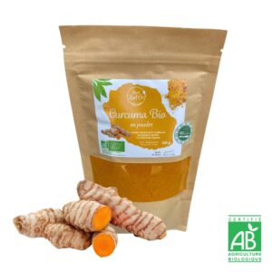 Curcuma bio en poudre